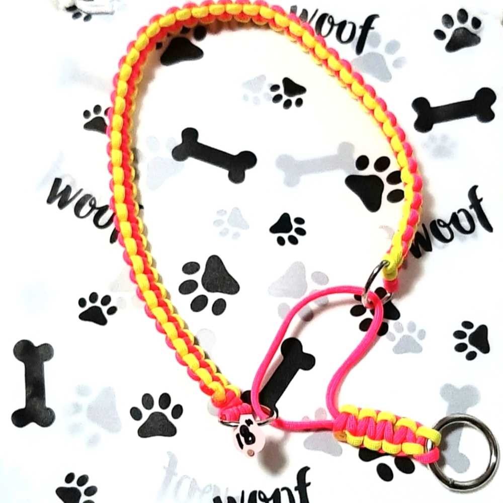 Paracord Dog Collar Limited Slip Training